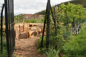 Jardin Partagé Entrée