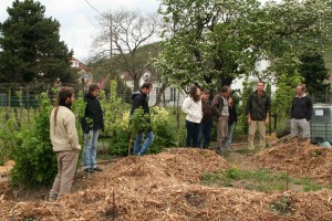 Jardin Partagé Kientzheim